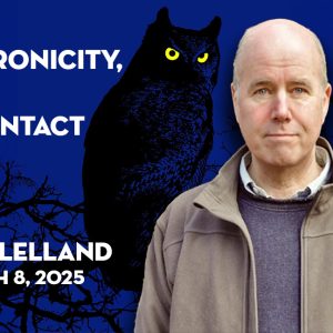 Owls, Synchronicity, and UFO Contact